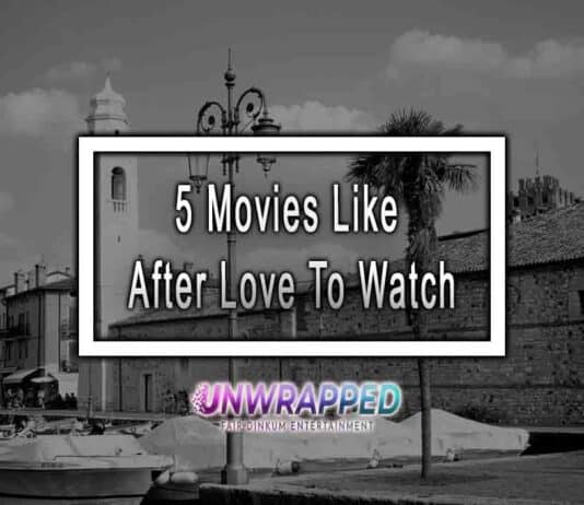5 Movies Like After Love To Watch 5 Movies Like After Love To Watch