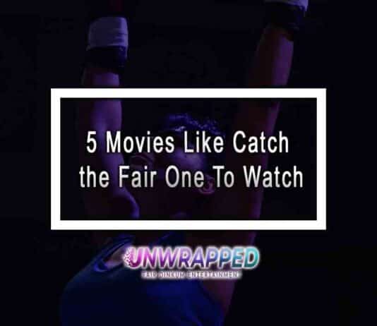5 Movies Like Catch the Fair One To Watch