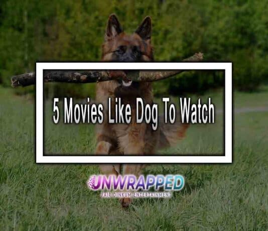 5 Movies Like Dog To Watch
