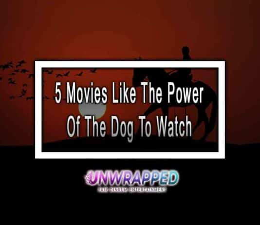 5 Movies Like The Power Of The Dog To Watch The Power Of The Dog