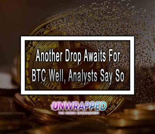 Another Drop Awaits For BTC Well, Analysts Say So