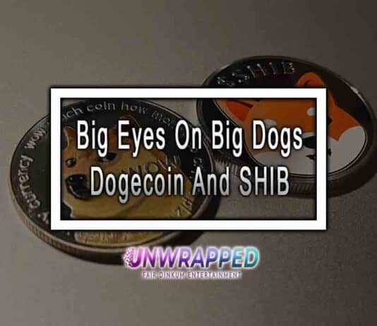 Big Eyes On Big Dogs Dogecoin And SHIB