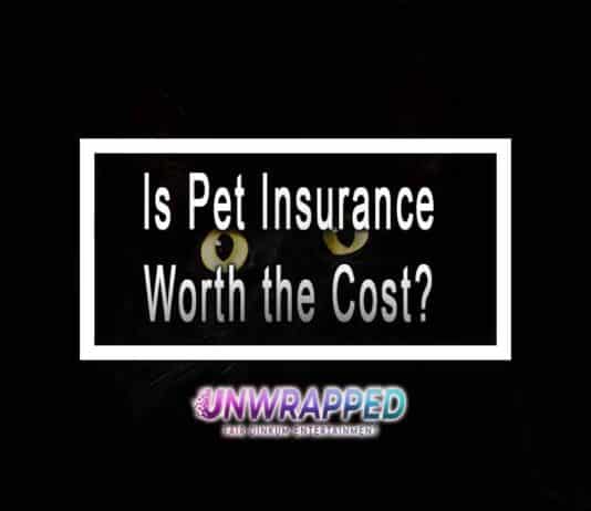 Is Pet Insurance Worth the Cost? How Much Should You Pay? Is Pet Insurance Worth the Cost?