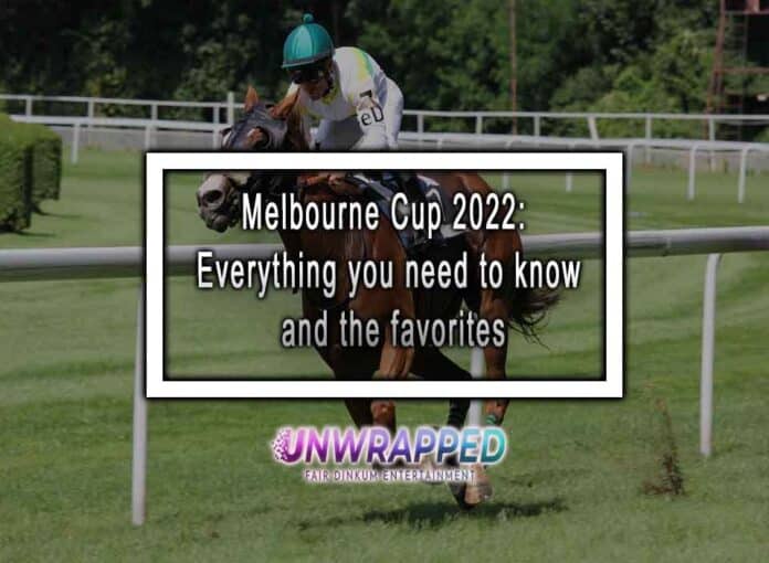 Melbourne Cup 2022: Everything you need to know and the favorites