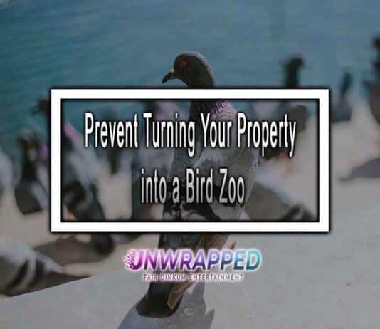 Act Fast to Prevent Turning Your Property into a Bird Zoo: The Adverse Impacts of Bird Overpopulation! Act Fast to Prevent Turning Your Property into a Bird Zoo: The Adverse Impacts of Bird Overpopulation!