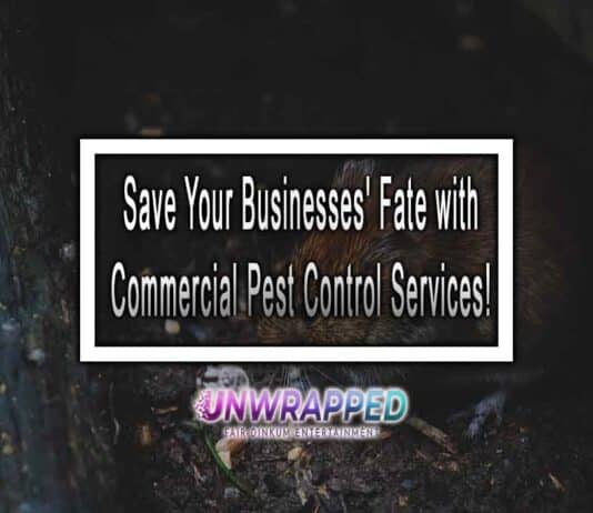 Save Your Businesses’ Fate with Commercial Pest Control Services!