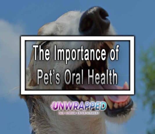 The Importance of Pet’s Oral Health – Dental Health and Your Pet. The Importance of Pet’s Oral Health