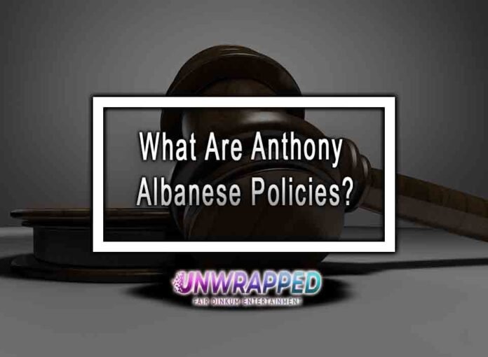 What Are Anthony Albanese Policies