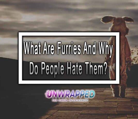 What Are Furries And Why Do People Hate Them? What Are Furries And Why Do People Hate Them?