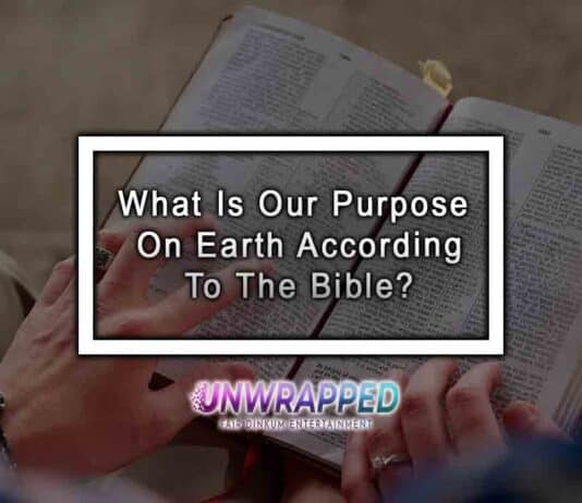 What Is Our Purpose On Earth According To The Bible?