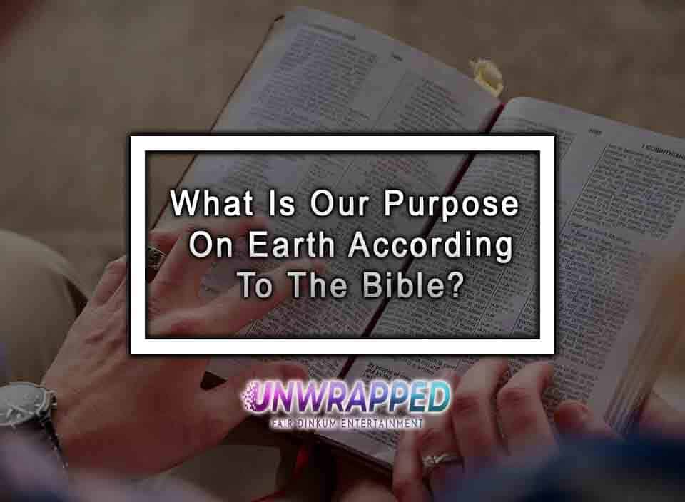 what-is-our-purpose-on-earth-according-to-the-bible