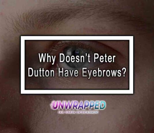 Why Doesn’t Peter Dutton Have Eyebrows?