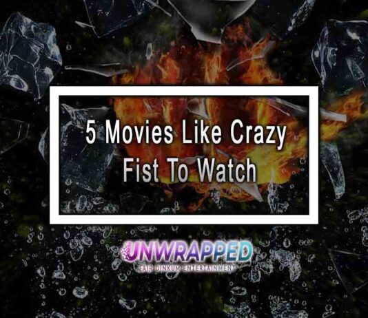 5 Movies Like Crazy Fist To Watch