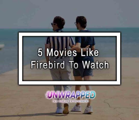5 Movies Like Firebird To Watch