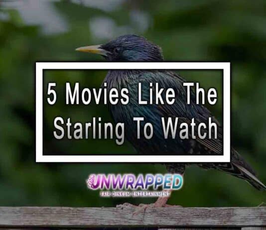 5 Movies Like The Starling To Watch
