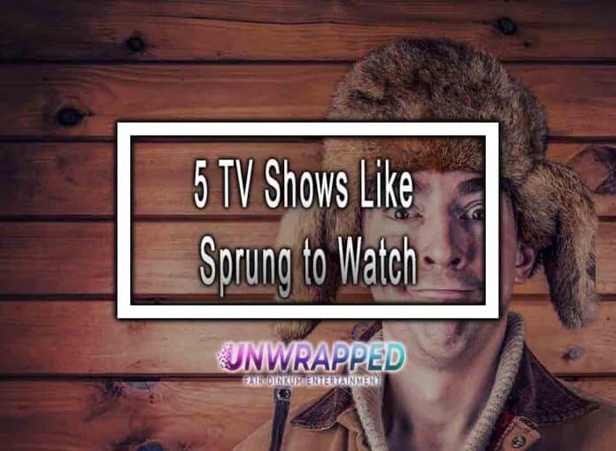 5 TV Shows Like Sprung to Watch