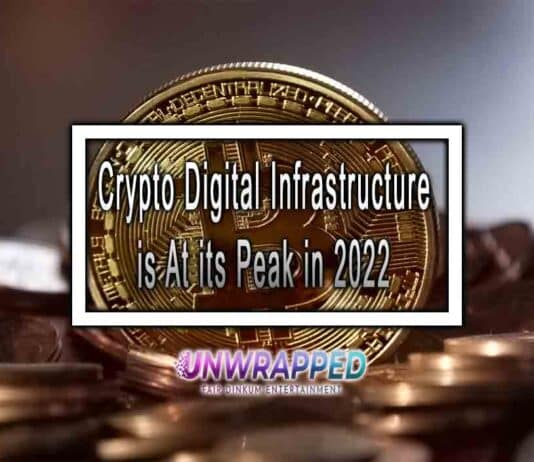Crypto Digital Infrastructure is At its Peak in 2022