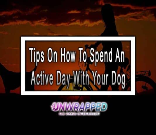 Tips On How To Spend An Active Day With Your Dog