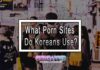 What Porn Sites Do Koreans Use?