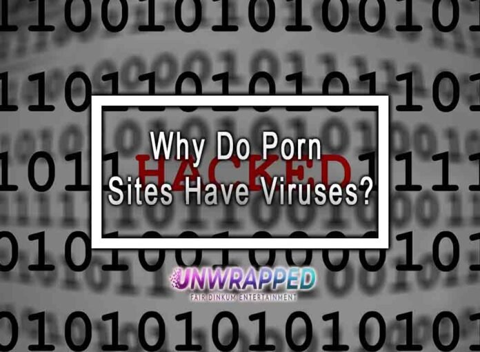 Why Do Porn Sites Have Viruses?