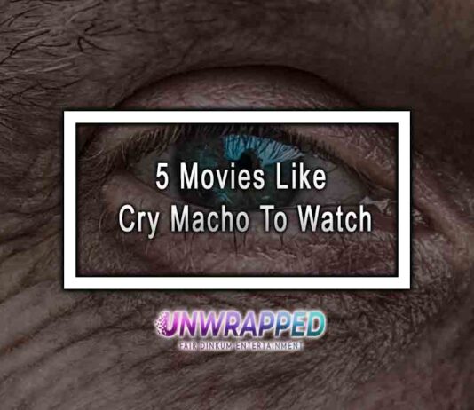 5 Movies Like Cry Macho To Watch