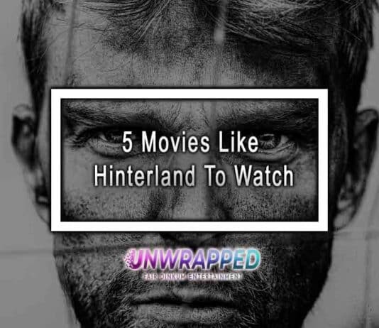 5 Movies Like Hinterland To Watch