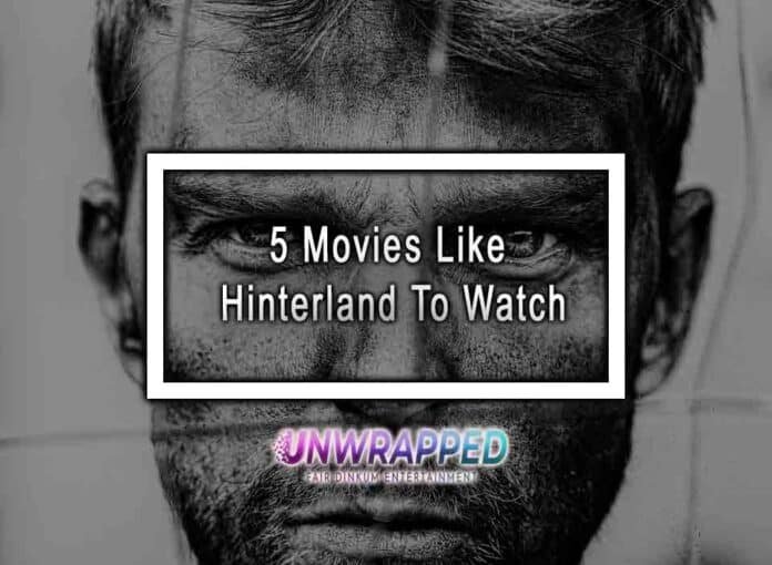 5 Movies Like Hinterland To Watch