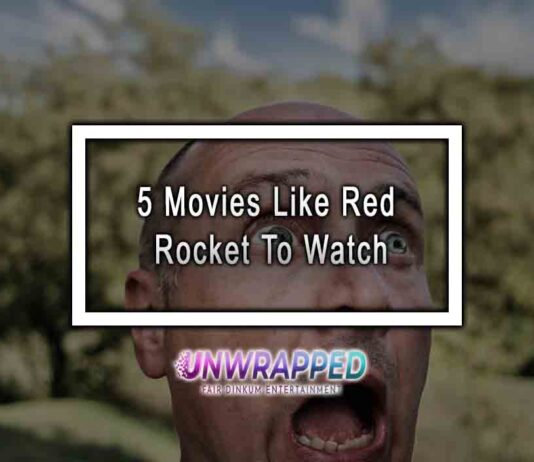 5 Movies Like Red Rocket To Watch