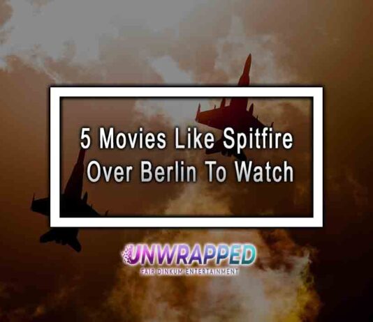5 Movies Like Spitfire Over Berlin To Watch