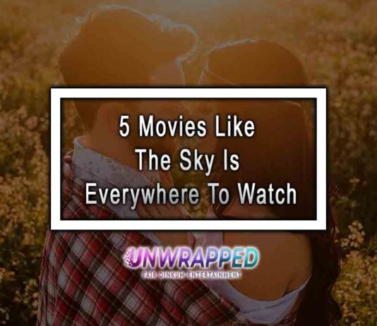 5 Movies Like The Sky Is Everywhere To Watch 5 Movies Like The Sky Is Everywhere To Watch