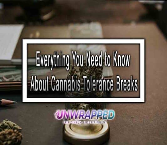 Everything You Need to Know About Cannabis Tolerance Breaks