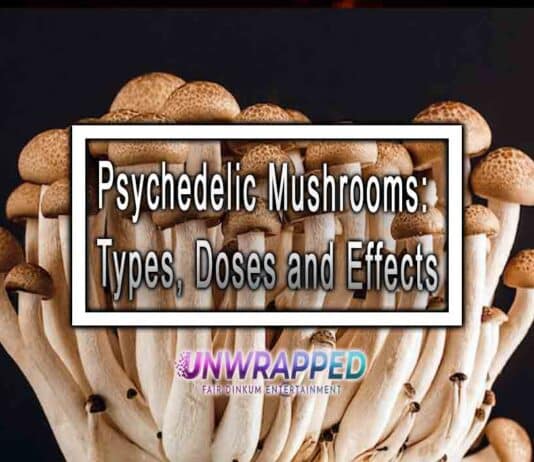 Psychedelic Mushrooms: Types, Doses and Effects