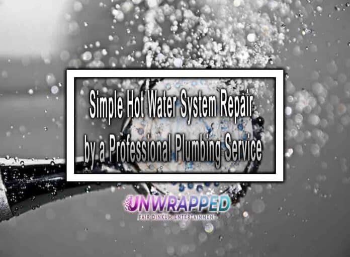 Simple hot water system repair by a Professional Plumbing Service