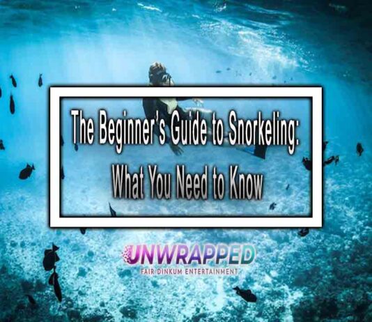 The Beginner’s Guide to Snorkeling: What You Need to Know The Beginner’s Guide to Snorkeling: What You Need to Know