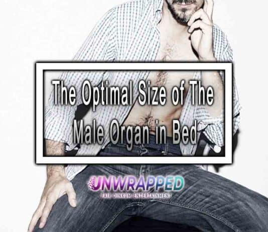 The Optimal Size of The Male Organ in Bed
