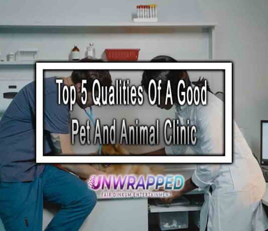 Top 5 Qualities Of A Good Pet And Animal Clinic