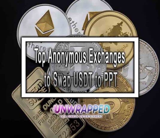 Top Anonymous Exchanges to Swap USDT to PPT