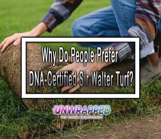 Why Do People Prefer DNA-Certified Sir Walter Turf? Why Do People Prefer DNA-Certified Sir Walter Turf?