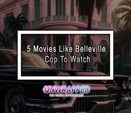 5 Movies Like Belleville Cop To Watch