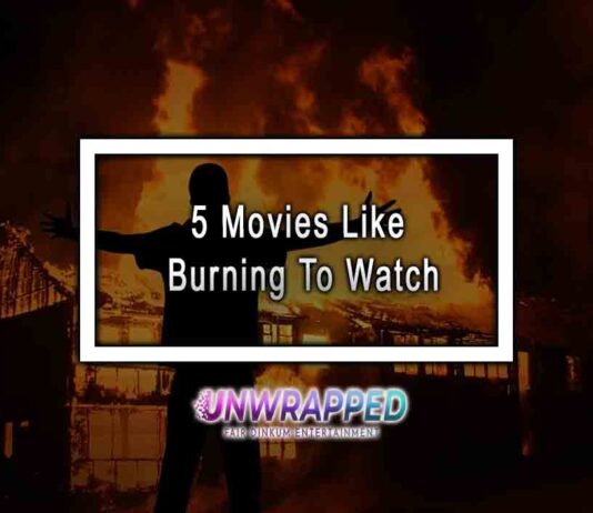 5 Movies Like Burning To Watch