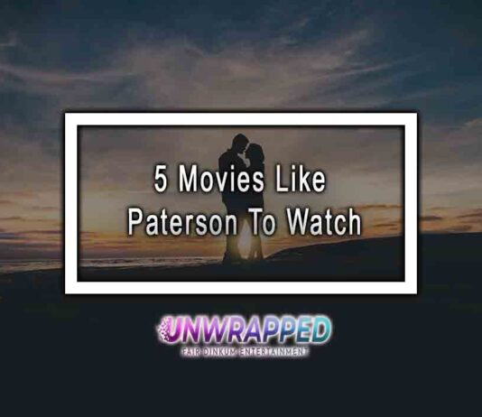 5 Movies Like Paterson To Watch