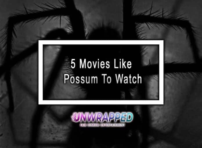5 Movies Like Possum To Watch