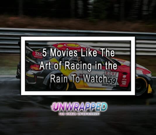 5 Movies Like The Art of Racing in the Rain To Watch