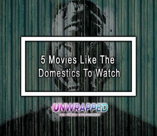 5 Movies Like The Domestics To Watch