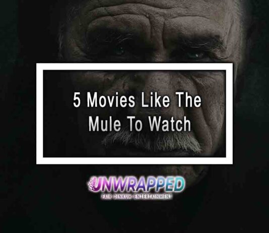 5 Movies Like The Mule To Watch