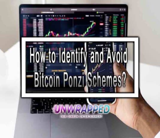 How to Identify and Avoid Bitcoin Ponzi Schemes?