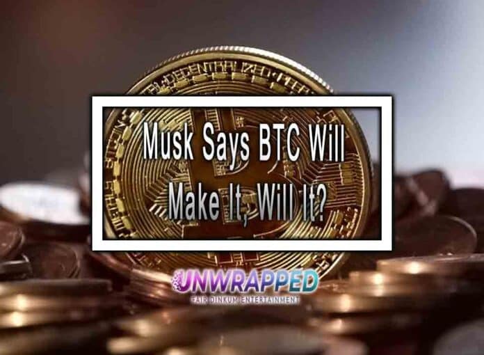 Musk Says BTC Will Make It, Will It?