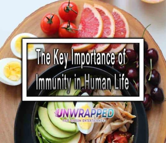 The Key Importance of Immunity in Human Life The Key Importance of Immunity in Human Life