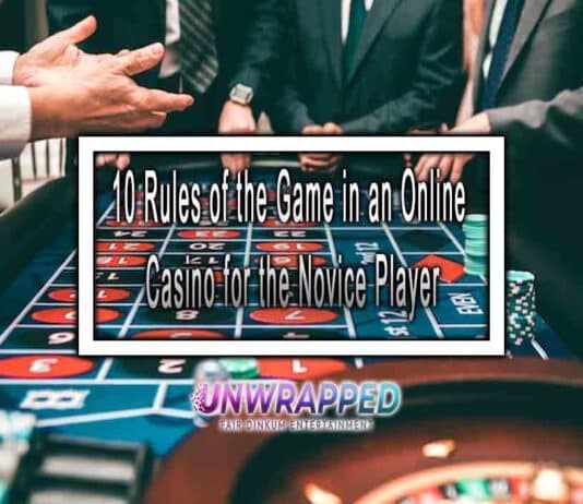 10 Rules of the Game in an Online Casino for the Novice Player
