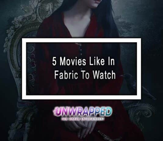 5 Movies Like In Fabric To Watch